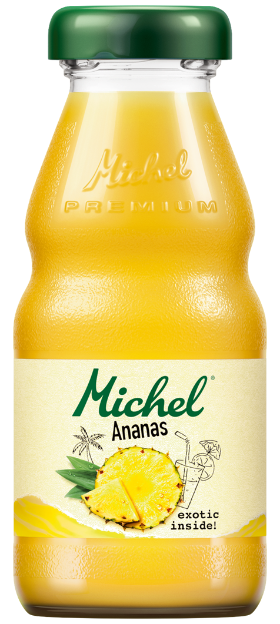 Michel Ananas EW Harass 24x20cl Michel Ananas EW Harass 24x20cl