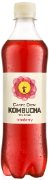 Carpe Diem Kombucha Cranberry Pet 12x50cl