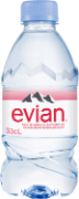 Evian Pet 24x33cl