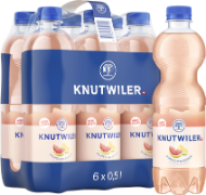 Knutwiler Pomelowasser Pet 6-Pack 50cl