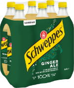 Schweppes Ginger Ale Pet 6-Pack 100cl