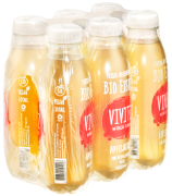 Vivitz Bio Eistee Apfelminze Pet 6-Pack 50cl