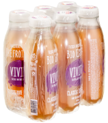 Vivitz Bio Eistee Classic Zitrone Pet 6-Pack 50cl